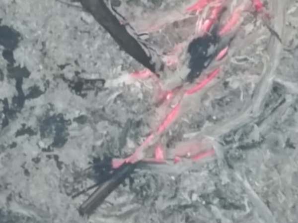 Pesnik praha i kraha – Borivoj&nbsp;Vezmar