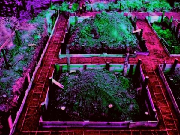 ЈА ТЕБЕ МРЗИМ