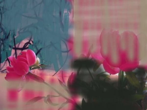 ПИСМА ДВА: ПУШКИН НАТАЛИЈИ ГОНЧАРОВОЈ И ЏЕК ЛОНДОН АНИ&nbsp;СТРАНСКИ