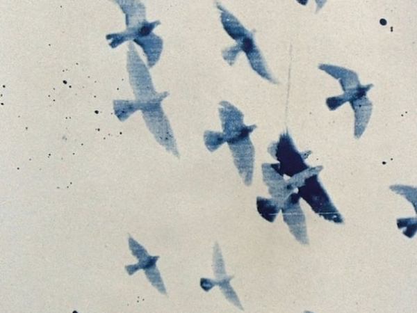 ЗНАШ ДА ЛЕТ ЈЕ СВАКИ ПАРАФРАЗА ПАДА (МИРКО&nbsp;ЈОВАНОВИЋ)