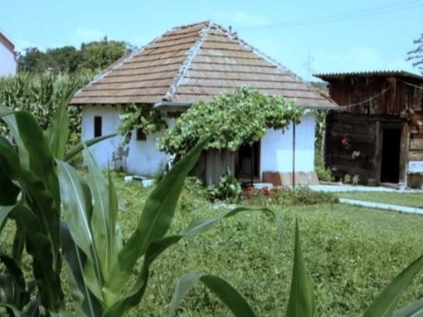 ПАРТИЗАНСКЕ ЛИКВИДАЦИЈЕ У СРБИЈИ 1941. ГОДИНЕ (Немања&nbsp;Девић)