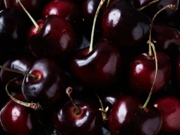 MRTVI VOLE TREŠNJE (EVA&nbsp;RISTIĆ)