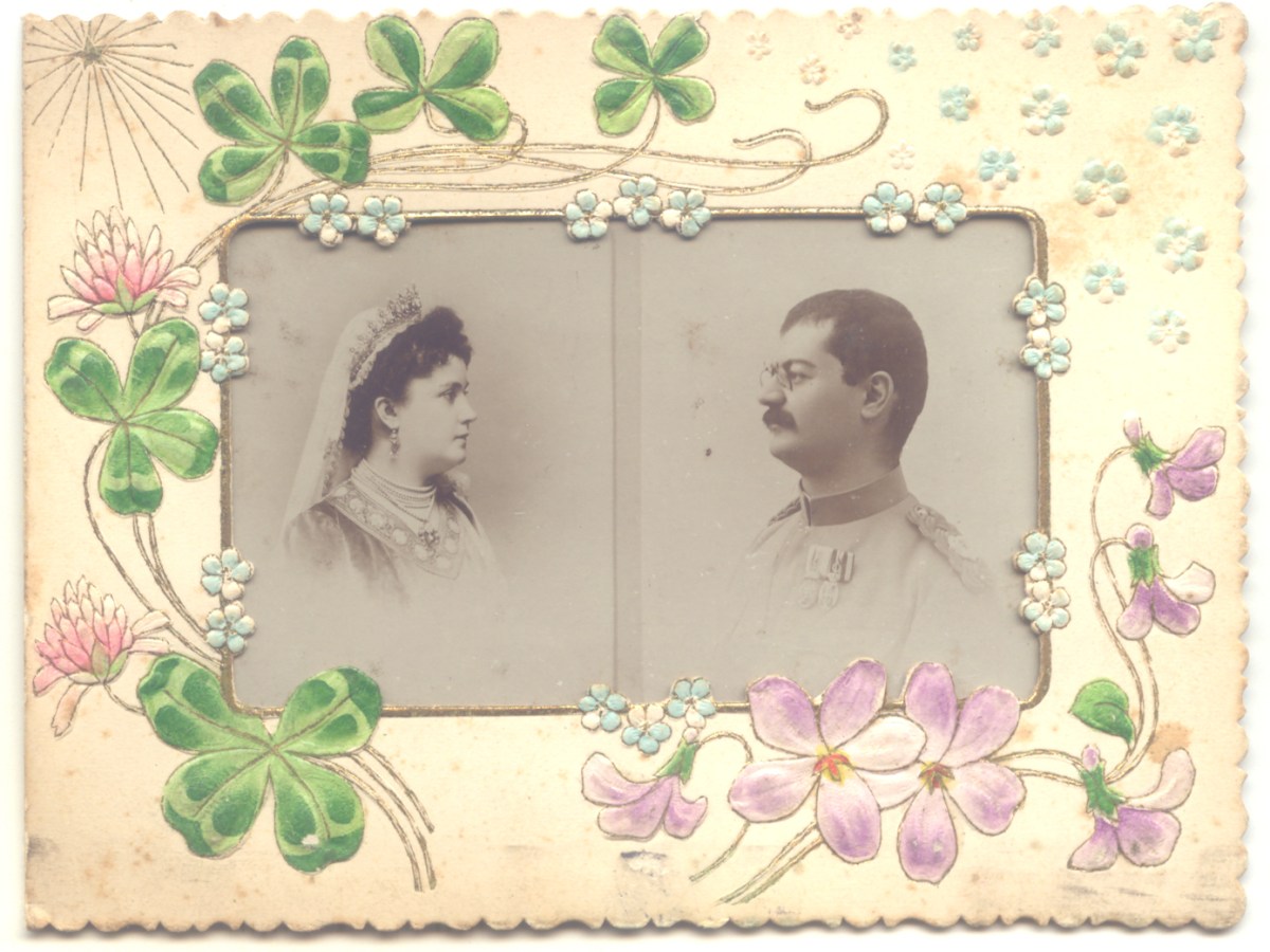 Краљица Драга и ефемерни спектакл (Милош&nbsp;Тимотијевић)