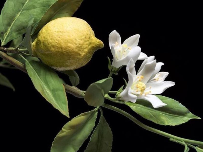 ČASOVI BLISTANJA SMENJUJU SE SA ČASOVIMA NEDOSTAJANJA (BORIVOJ&nbsp;VEZMAR)