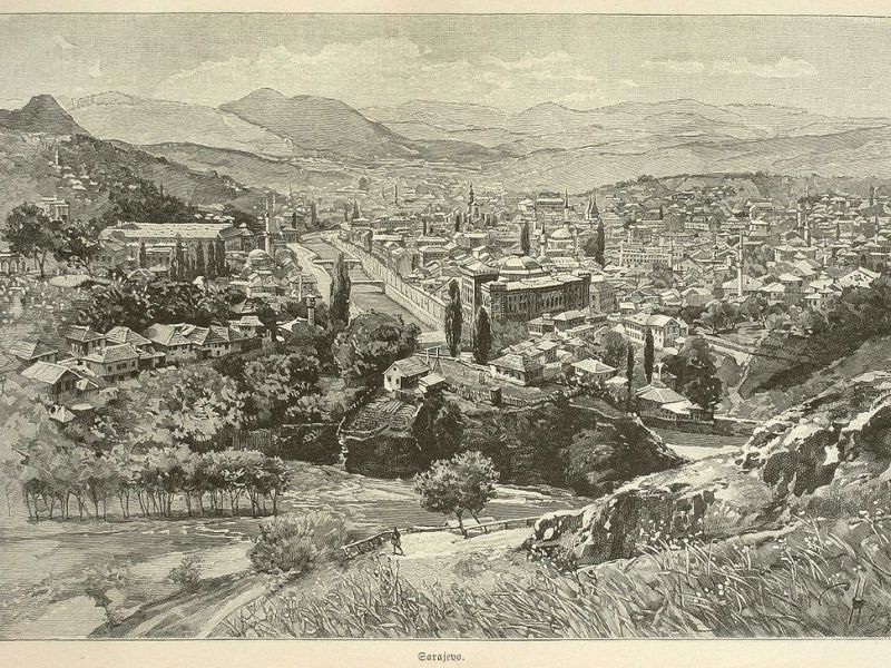 БОСНА ПОСЛЕ САРАЈЕВСКОГ АТЕНТАТА. О ХИСТЕРИЈИ И РЕПРЕСИЈИ (Ања&nbsp;Николић)