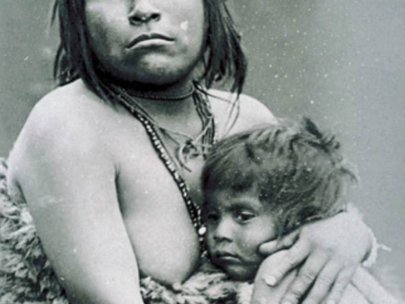 PESME (DANIJELA JOVANOVIĆ)