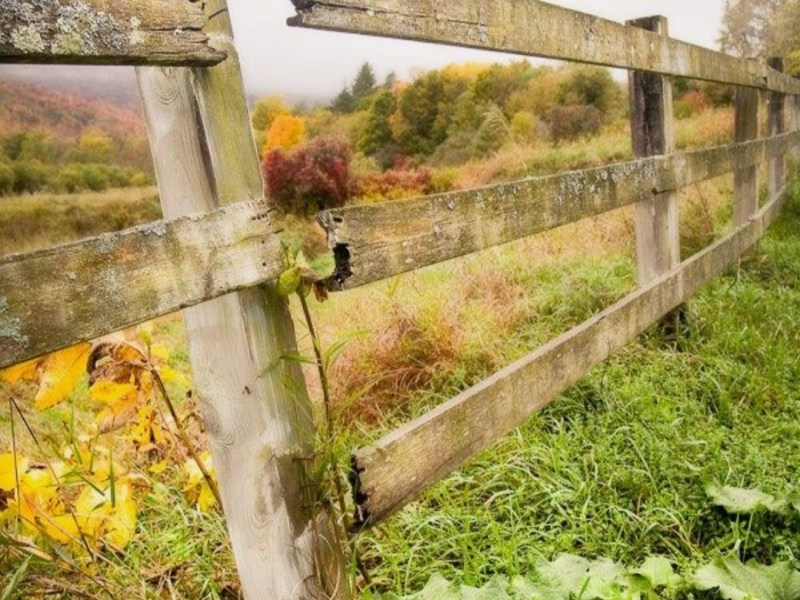 OGRADA I DRUGE PESME (BORIVOJ&nbsp;VEZMAR)