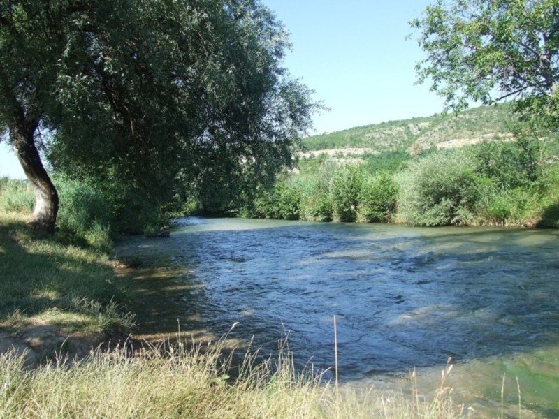 ХЉЕБ И ЖИЖАК (БИЉАНА&nbsp;КОВАЧЕВИЋ)