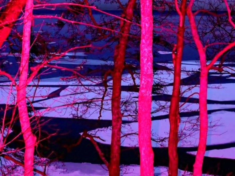 ОПРОШТАЈНА ОДА – ЈОСИФ БРОДСКИ (У ПРЕВОДУ ВИОЛЕТЕ&nbsp;БЈЕЛОГРЛИЋ)