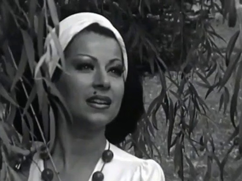 DRAGOSLAVA GENČIĆ: KUPILA SAM ŠAL CRVENI, DA SAM NAJLEPŠA (SAŠA&nbsp;RADOJEVIĆ)