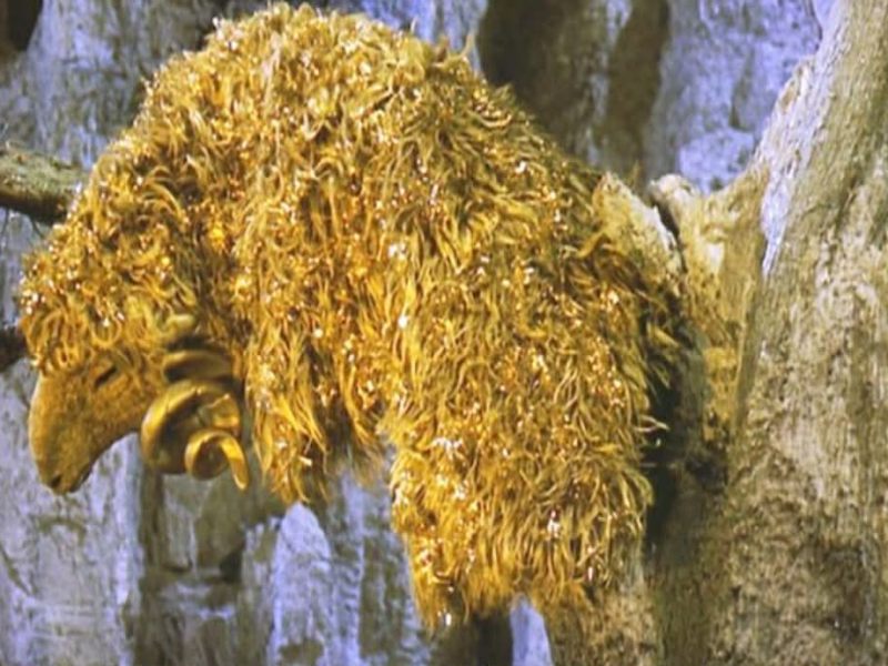 ZIMSKI VITAMINI I DRUGE PESME (DANIJELA&nbsp;JOVANOVIĆ)