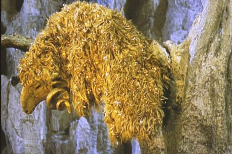 ZIMSKI VITAMINI I DRUGE PESME (DANIJELA&nbsp;JOVANOVIĆ)