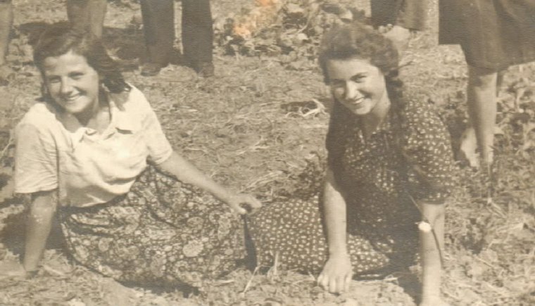 ЗАВОД ЗА ПРИНУДНО ВАСПИТАВАЊЕ ОМЛАДИНЕ 1942-1944: ОСМЕСИ ИЗА ЖИЦЕ (АЛЕКСАНДАР&nbsp;СТОЈАНОВИЋ)