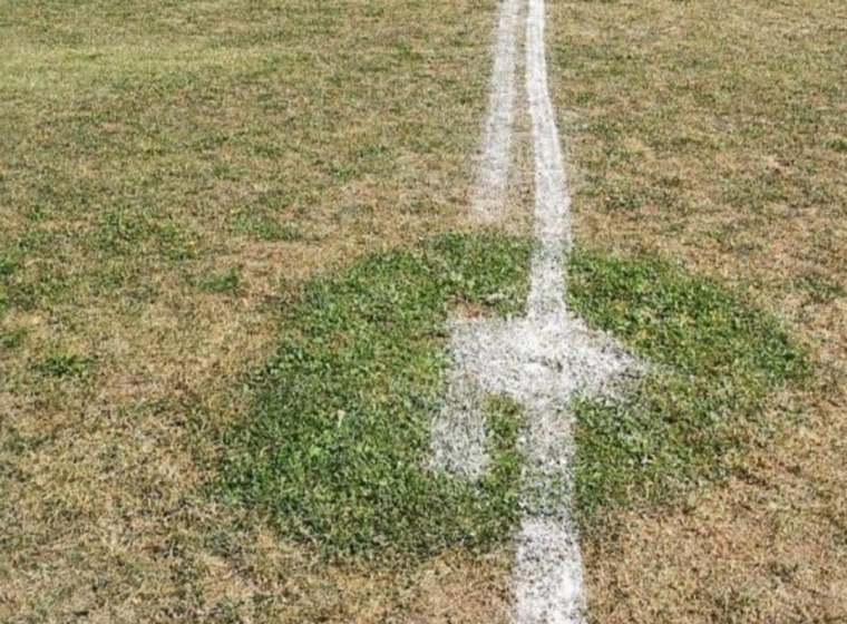 РАТ ИЗМЕЂУ ИДЕЈЕ МОЈЕ И ИДЕЈЕ ТВОЈЕ (МИЛЕНА&nbsp;СТАНОЈЕВИЋ)