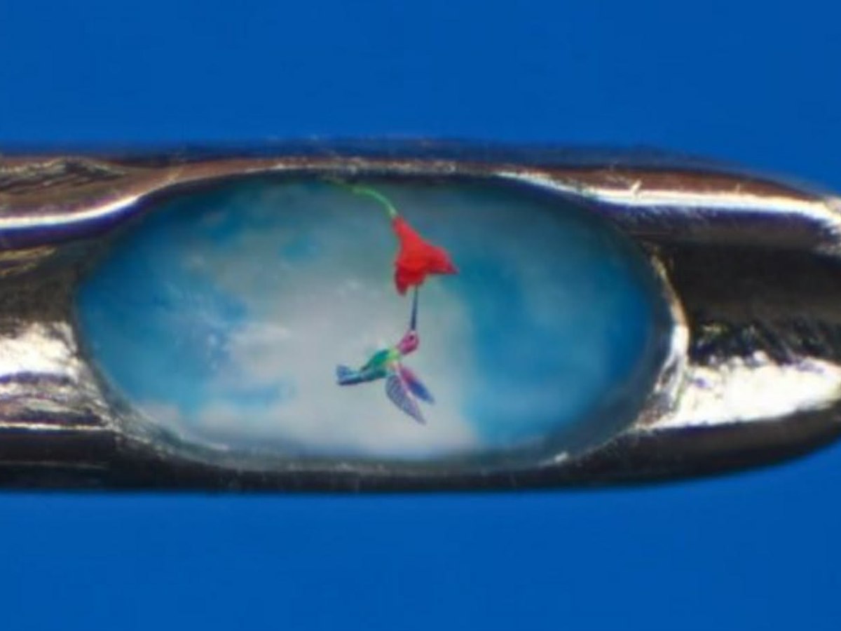 NI SRCE NIJE NOKAT DA PONOVO IZRASTE (TATJANA&nbsp;VENČELOVSKI)