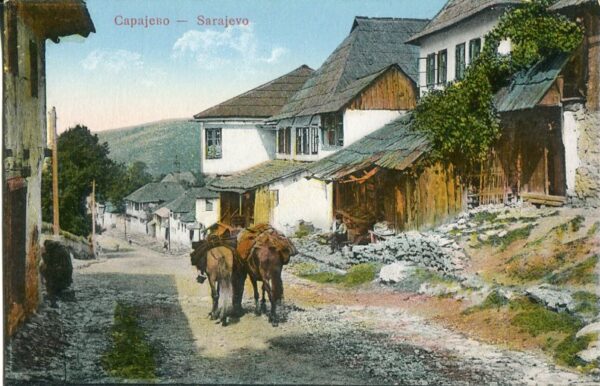 НИ КАМЕН НА КАМЕНУ: КАСАБА (10) (МИЛУТИН&nbsp;ПЕТРОВИЋ)